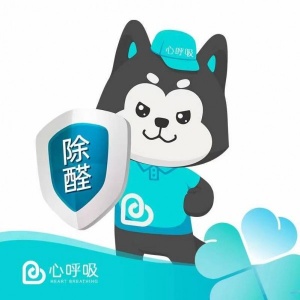 深入分析常见除甲醛方式的利弊